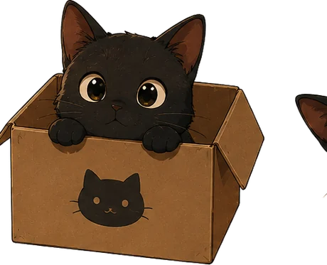 段ボール箱からひょっこり顔を出す黒猫のクロ